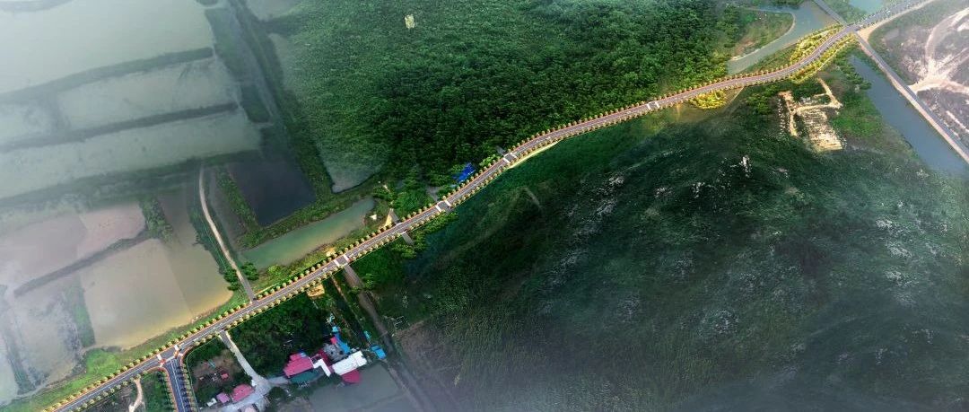 匠心筑精品 助力“淇澳行” | 珠海建工集团淇澳大澳路道路工程顺利完成竣工验收~
